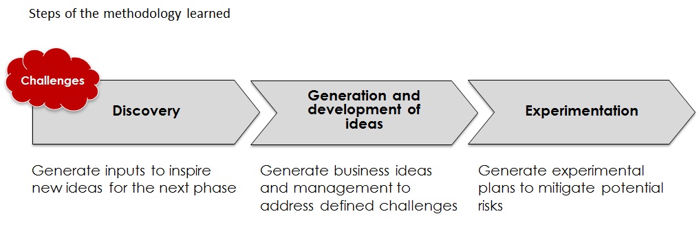 Steps of the model learned