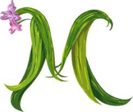 maria-jones's picture